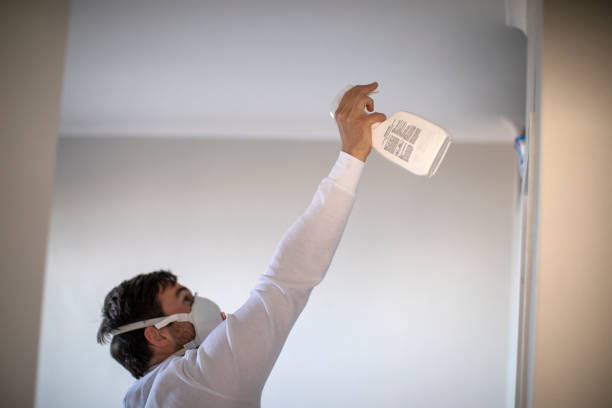 Best Certified Mold Removal  in Olcott, NY