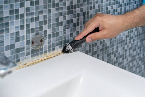 Best Mold Cleaning Services  in Olcott, NY