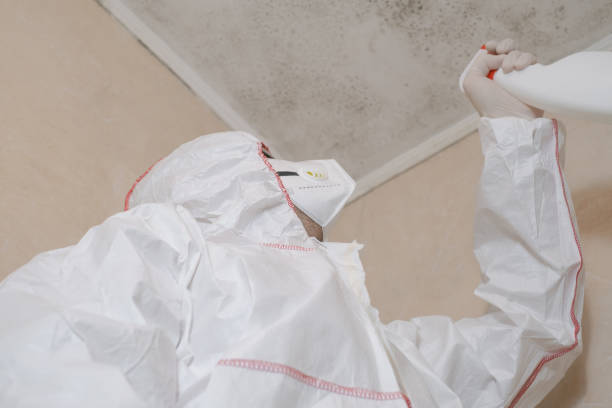 Best Mold Removal Specialists  in Olcott, NY